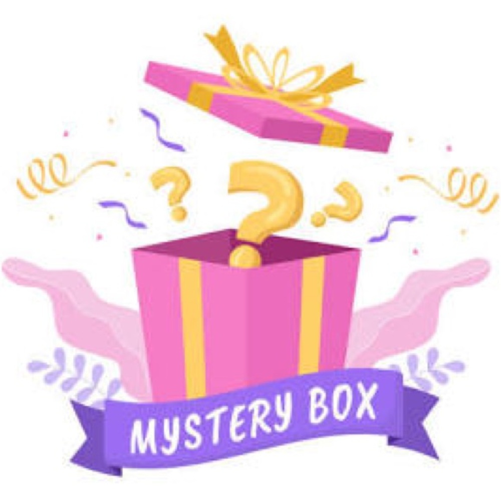 Mystery Box of Designer and Name Brand Clothing: 15 items, size small